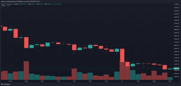 На фоне коррекции рынка биткоин-фонд Сальвадора приобрел 410 BTC На фоне коррекции рынка биткоин-фонд Сальвадора приобрел 410 BTC