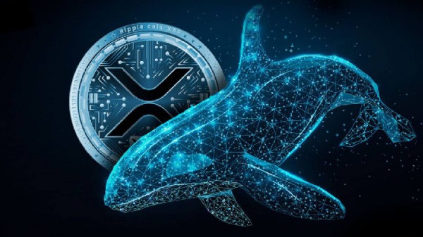 Криптокиты скупают XRP, ожидая завершения дела SEC против Ripple