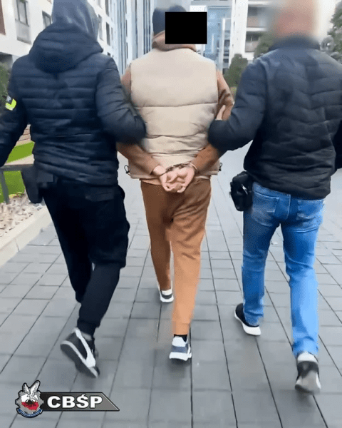 Полиция Польши объяснила претензии к бывшему главе WEX Дмитрию Васильеву