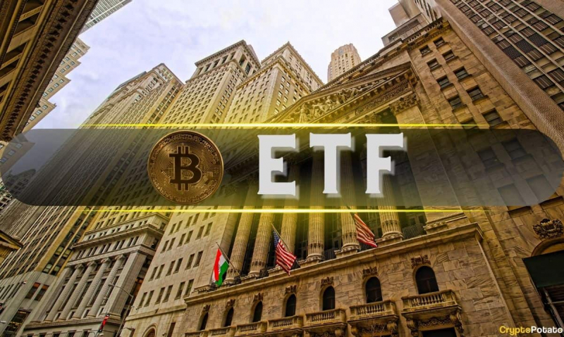  Bitwise предлагает новый ETF для инвестирования в компании, владеющие 1000 BTC или более 