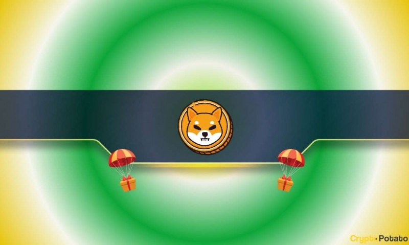 Проект, связанный с сиба-ину, представляет специальную раздачу: подробности