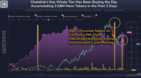 Chainlink Whales накопили $79,9 млн. Коррекция цен LINK Admist – Подробности Chainlink Whales накопили $79,9 млн. Коррекция цен LINK Admist – Подробности