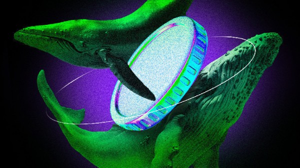 AAVE, VIRTUAL и ONDO: что покупали криптокиты на этой неделе