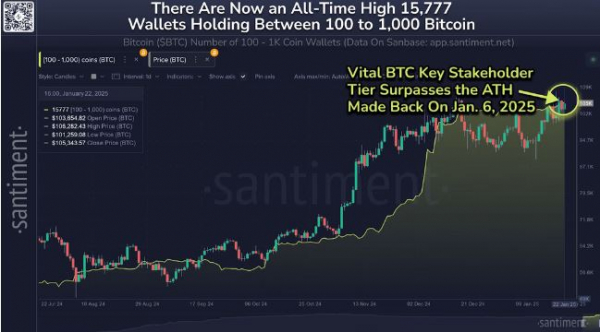 Биткоин-кошельки, хранящие от 100&thinsp;до 1000 BTC, достигли рекордного максимума