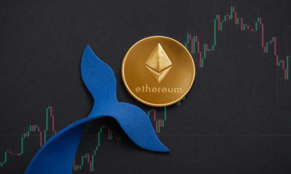 После слияния доля Ethereum Whale увеличилась вдвое до 43% &ndash; подробности