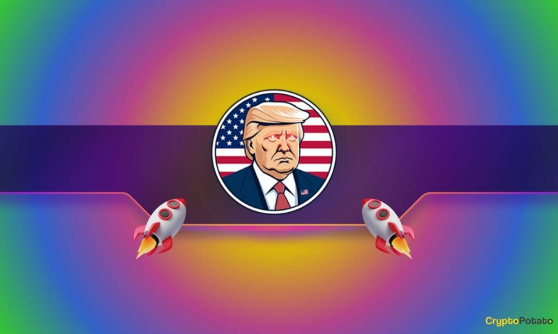  Ночевые миллионеры: официальные истории успеха Трампа через 24 часа после запуска 
