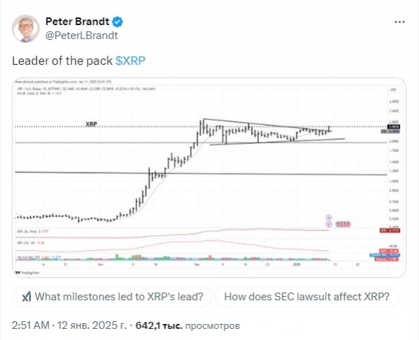
                    Питер Брандт: подъём XRP к уровню $2,5 &mdash; бычий сигнал, несмотря на общий спад                