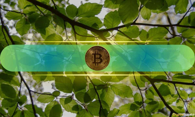  После исторического января, что готовится к биткойнам в феврале? 