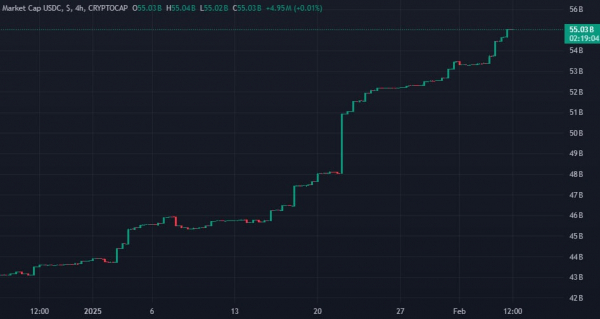 Компании Tether и Circle выпустили стейблкоины на $8,5 млрд с начала 2025 года