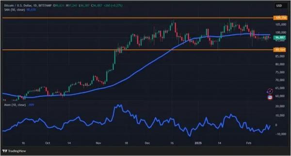Рост числа новых адресов BTC и BNB: крипторынок окрасился в зеленый