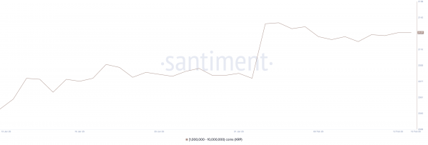Почему курс XRP вырос за сутки на 10% Почему курс XRP вырос за сутки на 10%