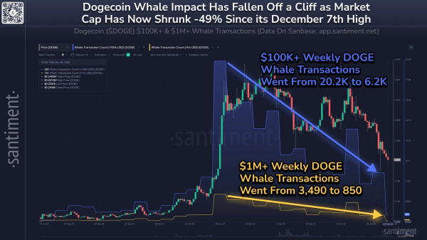 Рынок пустыни Dogecoin Whales: количество транзакций в размере 100 000 долл. США 70%