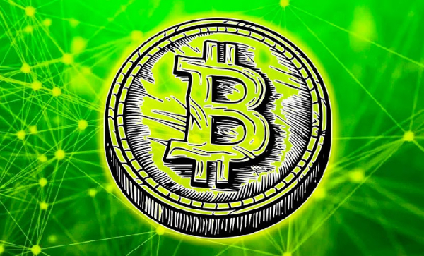 Rainforest Foundation планирует создать биткоин-резерв