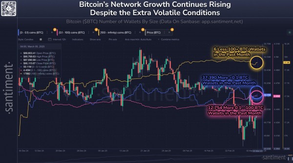 Биткоин выше $90 000: сможет ли BTC продолжить рост