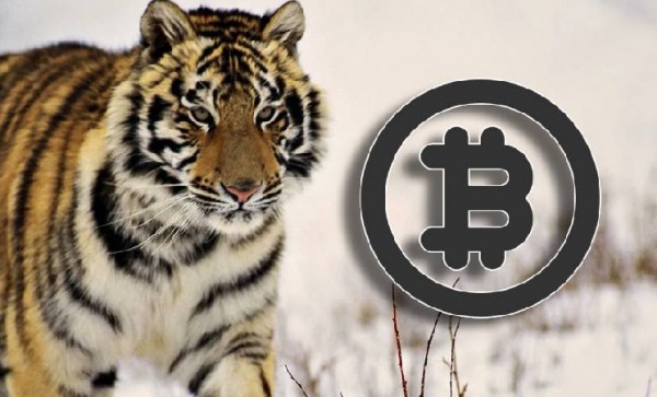 На всех миллионеров мира не хватит BTC На всех миллионеров мира не хватит BTC