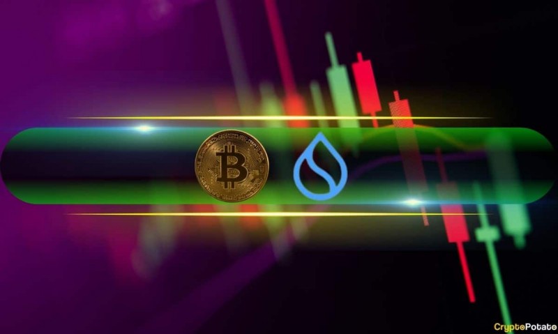  Sol и Sui выигрывают импульс, поскольку цена BTC стабилизируется на уровне 84 тыс. Долл. США (Weekend Watch) 