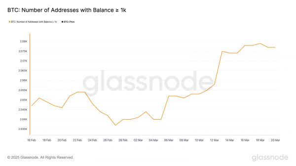 Биткоин (BTC) сталкивается с барьером на $85,000