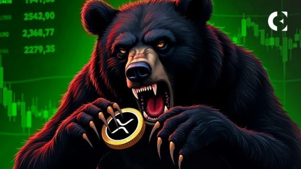 Бычий настрой XRP встречает медвежий сигнал в сети: что происходит?