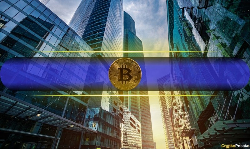  Корпоративная покупка BTC выросла в первом квартале, несмотря на коррекцию рынка 