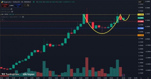 
                    Оптимизм трейдеров указывает на рост курса Dogecoin на 14%                