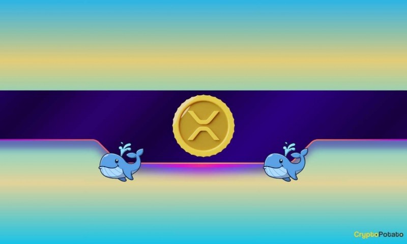  Критический показатель XRP достигает новой записи: что это значит для цены Ripple? 
