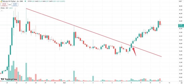 
                    У биржи Binance хотят отсудить $13,3 млрд за делистинг Bitcoin SV                