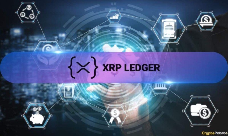  Активность xrp gadger увеличивает 7x, когда волновые кошельки достигают рекордно высокого уровня 
