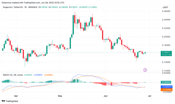 Dogecoin Silent Build-Up: двойной нижний намек на взрывное движение к $0,47 Dogecoin Silent Build-Up: двойной нижний намек на взрывное движение к $0,47