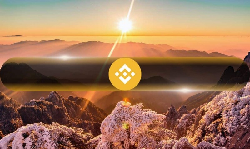 Nano Labs ставит $500 млн на Binance Coin (BNB) в качестве казначейства