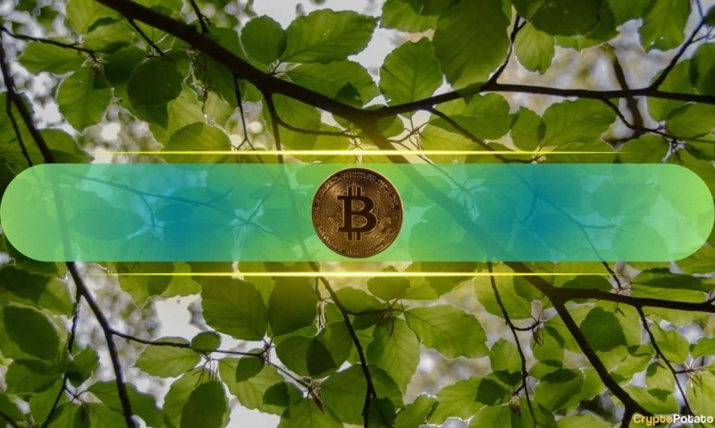  Биткойн проверяет 106 тыс. Долл. США по соглашению о прекращении огня на Ближнем Востоке&nbsp; 