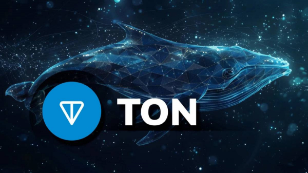 
                    TON Foundation ищет нового вице-президента после скандала с &laquo;Золотой визой&raquo; в ОАЭ                