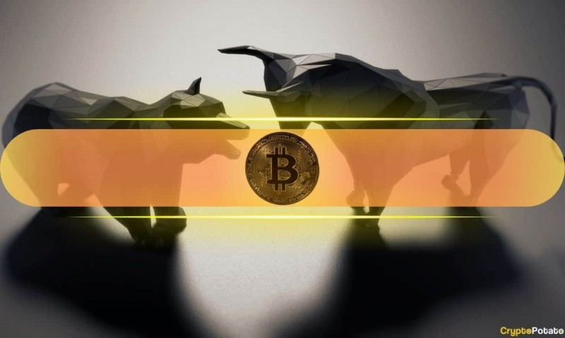  Быки против медведей: учреждения накапливают BTC, но Прайс не поднимается, почему? 