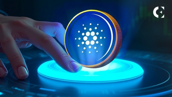 Cardano незаметно становится ключевым активом диверсификации для крупных криптокитов Cardano незаметно становится ключевым активом диверсификации для крупных криптокитов
