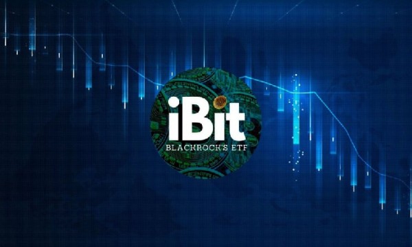 Биткоин-фонд BlackRock зафиксировал самый большой отток средств за&nbsp;9&nbsp;недель