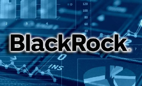 Компания BlackRock стала крупнейшим держателем биткоинов после Сатоши Накамото