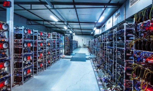 Hive Digital сообщил о&nbsp;рекордной выручке в&nbsp;первом квартале благодаря биткоину и&nbsp;HPC