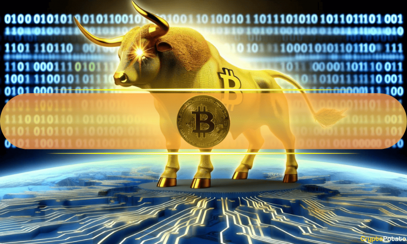  Подойдет ли цикл биткойн -бычьего рынка? Аналитики весят 