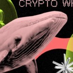Интервью с The White Whale и MEXC: правда о замороженных $3 млн