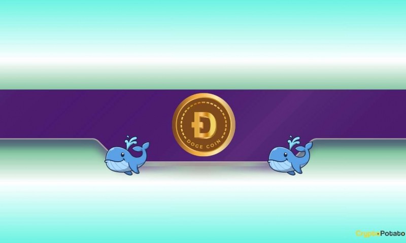  Колики Dogecoin (Doge) сходят с ума: дальнейшие цены вступают? 
