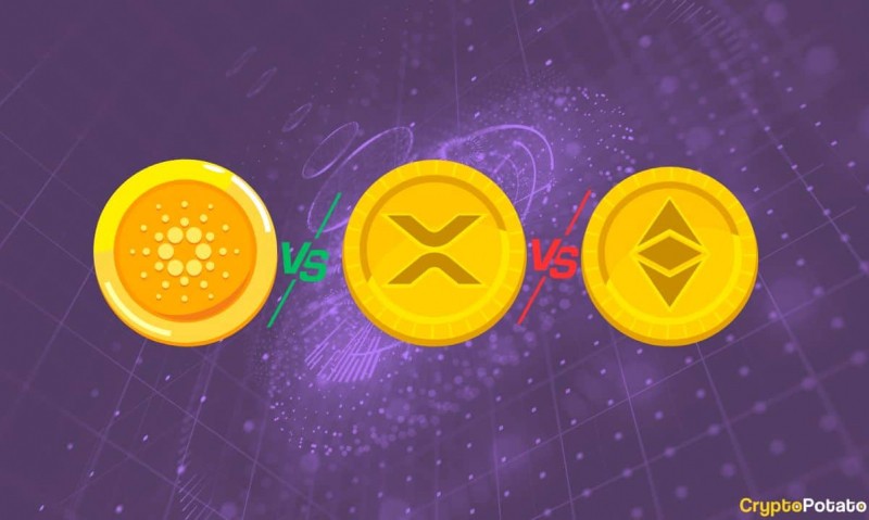  XRP против ADA против ETH: мы спросили 4 AIS, что является самым популярным альткойн (ответ удивителен) 