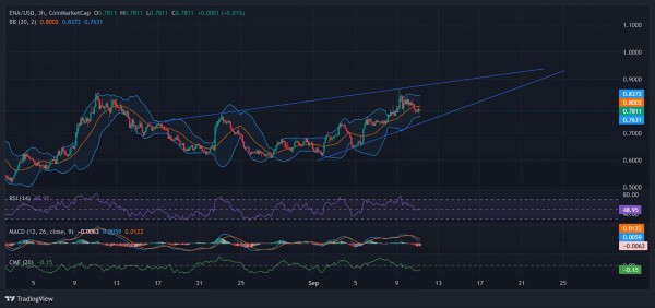 
                    Листинг USDe на Binance вдохновил Артура Хейса на покупку 579,000 ENA                