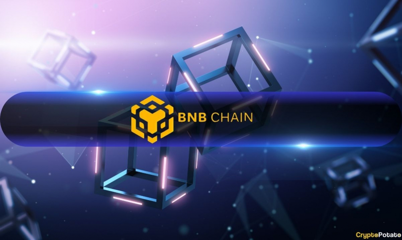  Умные деньги вливаются в цепь BNB, когда активность разработчика ускоряется 