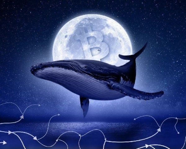 Участник ICO Ethereum направил в стейкинг монеты на $665 млн