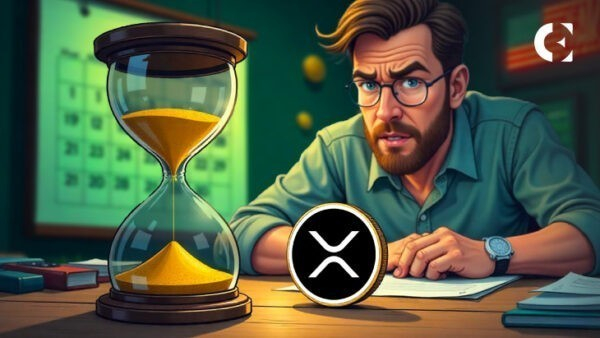Почему стоит сделать ставку на XRP в долгосрочной перспективе?