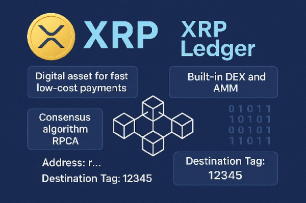 XRP и XRP Ledger: как работает экосистема и чем она отличается от других блокчейнов