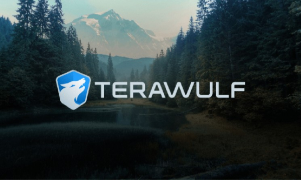 Выручка TeraWulf за 3 квартал выросла на 87%, поскольку биткоин почти удвоился за год
