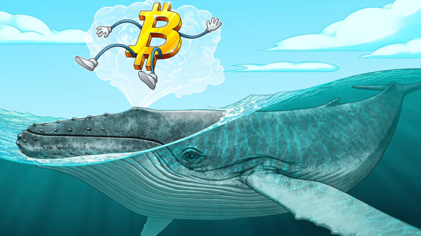 Портал к биткоину привлекает 25 миллионов долларов для собственных биткоин-свопов