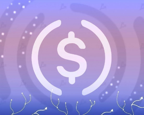 USDC превзошел USDT по активности использования в DeFi