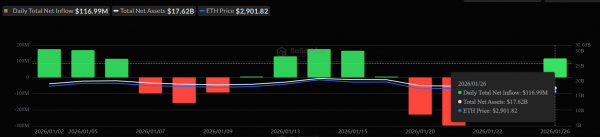 Инвесторы вложили $110 млн в ETF на Ethereum на фоне оттока капитала