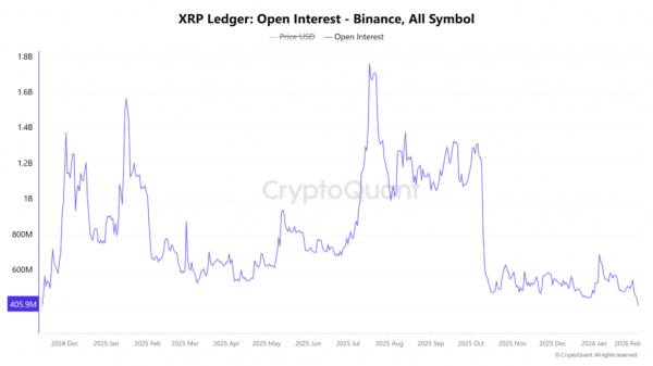Убытки Evernorth в XRP превысили $380 млн